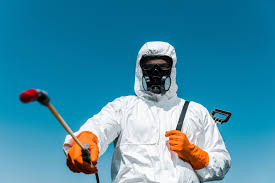 Seasonal Pest Control in Templeton, CA